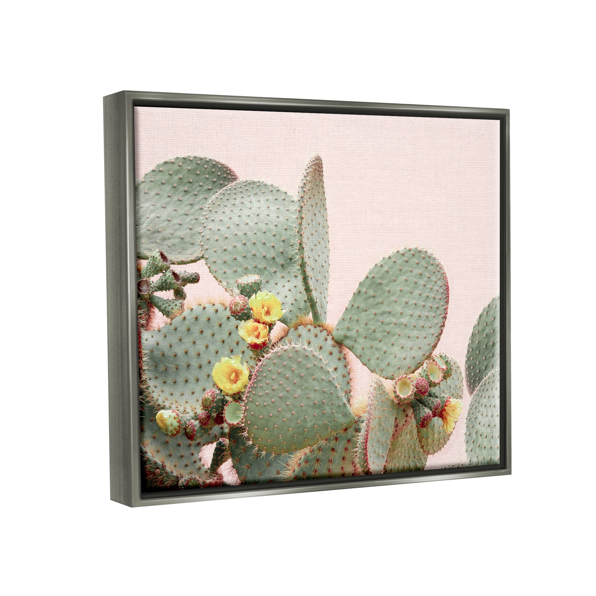 Stupell Industries Cactus Flowers on Pink Botanical & Floral Photography Gray Floater Framed Art Print Wall Art, 31 x 25