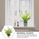 thumbnail image 3 of 1 pieza de adorno de planta de helecho de simulación creativa decoración de bonsái en maceta fresca, 3 of 5
