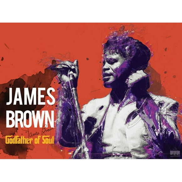 James Brown Poster Godfather of Soul Music Art Print (24x18)