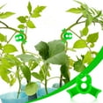thumbnail image 4 of Transemion 30pcs/set Low Stress Training Clips For Plant Crop Potential Plant Training Clips White 1Set, 4 of 6