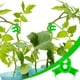 thumbnail image 4 of Naiovety 30 clips verdes para entrenamiento de plantas: aumentan el rendimiento y mejoran la circulación del aire. Clips para plantas Jardín y Patio Blanco, 4 of 6