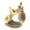 Hedgehog with Ladybug, variant on Top Land Trading 3.25" Hedgehog Garden Statue
