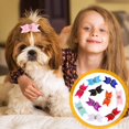 thumbnail image 1 of unbranded 10Ud Para De Perro Multicolor Para Y De Mascotas En Eventos, 1 of 6