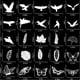 thumbnail image 4 of Xihbxyly Adhesivos para Ventanas con Forma de Colibrí, Anticolisión, para Colisiones con Aves, de Pvc, de Doble Cara, para Interiores, Fáciles de Aplicar y Reorganizar, 1 Unidad., 4 of 5