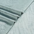 thumbnail image 2 of HOMETRENDS Velvet Plush Throw, 2 of 3