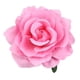 thumbnail image 1 of Clip de pelo de rosa, horquilla de flor, broche de rosa, clips florales, clips de pelo, flores de pelo mexicanas, tocados para mujer y niña, bodaPolvo monocromático5pcs, 1 of 4