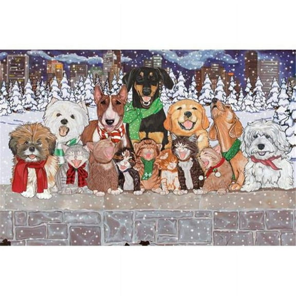Mix Dog With Cat Holiday Boxed Cards