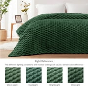 Whale Flotilla 50"x60" Throw Blanket for Couch with Expanded 3D-Jacquard Pattern, Fuzzy Soft Cozy Exquisite Blankets or All Season, Warm and Fluffy, Emerald Green