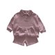 thumbnail image 1 of Conjunto de sudaderas con capucha coreanas para bebés, sudadera y pantalones cortos, 2 uds., para niños y niñas de 0 a 5 años, ropa de gofres para niños de primavera y otoño, 1 of 6