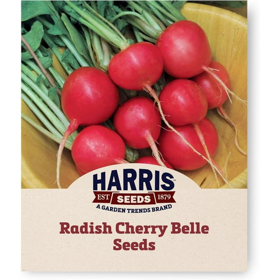 Harris Seeds - Cherry Belle Radish Seeds - Treated Vaiety - 250 Seeds