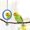 Blue, variant on 1PCS/2PCS Bird Mirror with Bell Parrot Hanging Interactive Playing Toy for Cockatiel Parakeets Canaries Budgie Cage Accessories