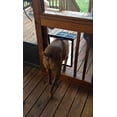 thumbnail image 3 of 12" x 16" Magnetic Lockable/Automatic Lock Pet Screen Door Dog Gate Way Pet Door for Screens, 3 of 4