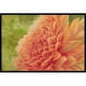 Floral par Malenda Trick Tapis d'Intérieur Ou d'Extérieur&44; 24 x 36 – image 1 sur 1