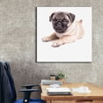 thumbnail image 6 of Epic Graffiti 'Cute Pug Puppy' by Edward M. Fielding, Giclee Canvas Wall Art, 37"x37", 6 of 8