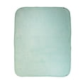 thumbnail image 3 of Cobertor 3 en 1 Baby Mink BabyBag Liso Menta, 3 of 4