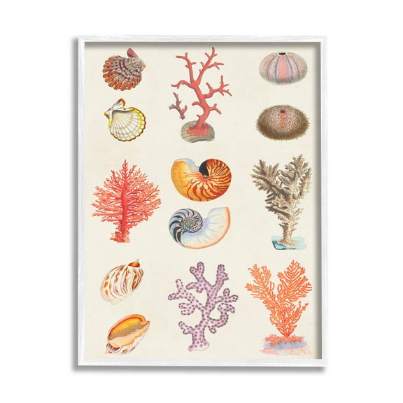 Stupell Industries Various Sea Life Nautical Latin Study Graphic Art White Framed Art Print Wall Art, Design by Vision Studio