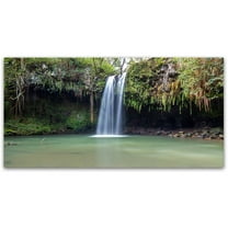 Trademark Fine Art 'Twin Falls Maui' Canvas Art by Pierre Leclerc