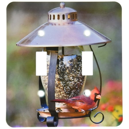 3dRose Northern Cardinal on copper lantern hopper bird feeder, Marion Co. IL, Double Toggle Switch