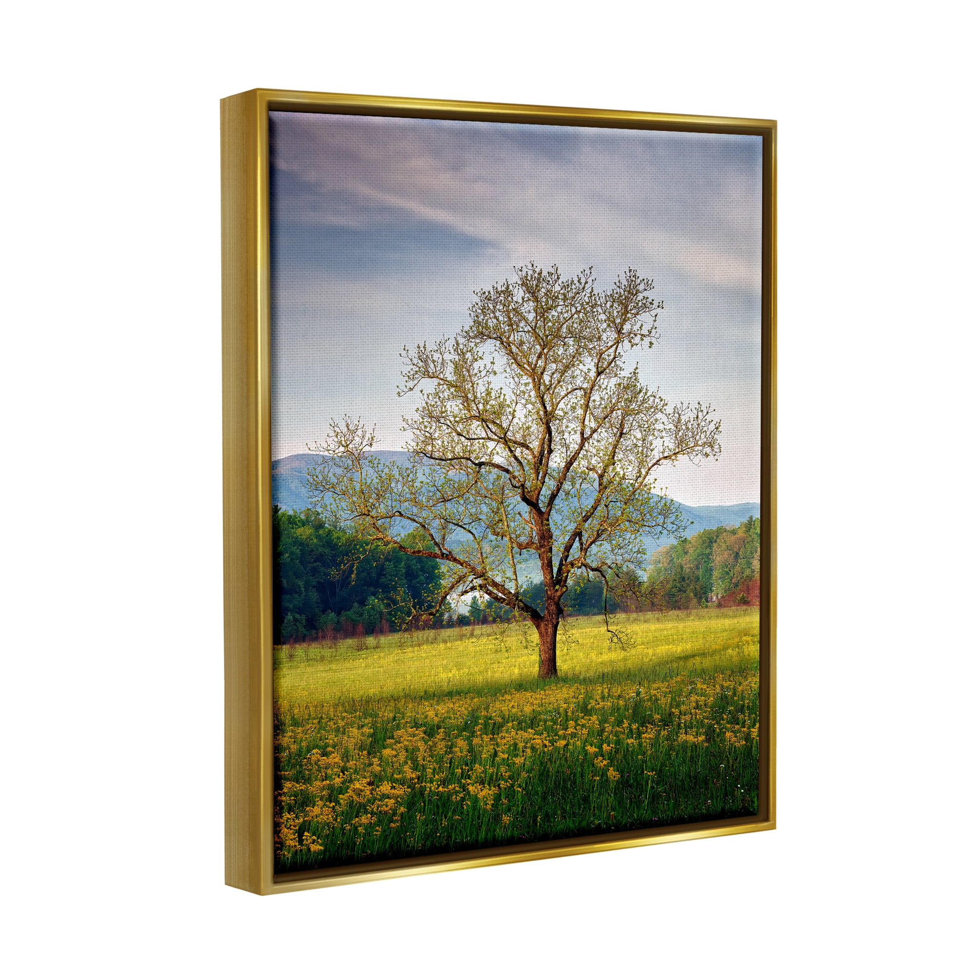 Stupell Lone Tree Wildflower Meadow Landscape Photography Gold Floater Framed Art Print Wall Art