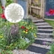 thumbnail image 5 of 100 piedras luminosas que brillan en la oscuridad, guijarros de jardín, rocas, decoración para peceras, 5 of 8
