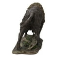 thumbnail image 5 of BISON HEAD DOWN - LARGE, 5 of 6