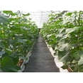 thumbnail image 4 of Agfabric Landscape Garden mat 5x25ft (6 Pins Included) All Purpose Folded Heavy PP Woven Weed Barrier for raised bed,Soil Erosion Control and UV stabilized, Plastic Mulch Weed Block, 4 of 5