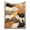 39.37*59.05Inch, variant on Cute Cat Printed Fluffy Fleece Pet Blanket,Cat Throw,Blanket Floral Flower Blankets Gift for Cat Lover Throw Blanket Cats Themed Flannel Cozy Fuzzy Plush Blankets for Bed Chair Couch