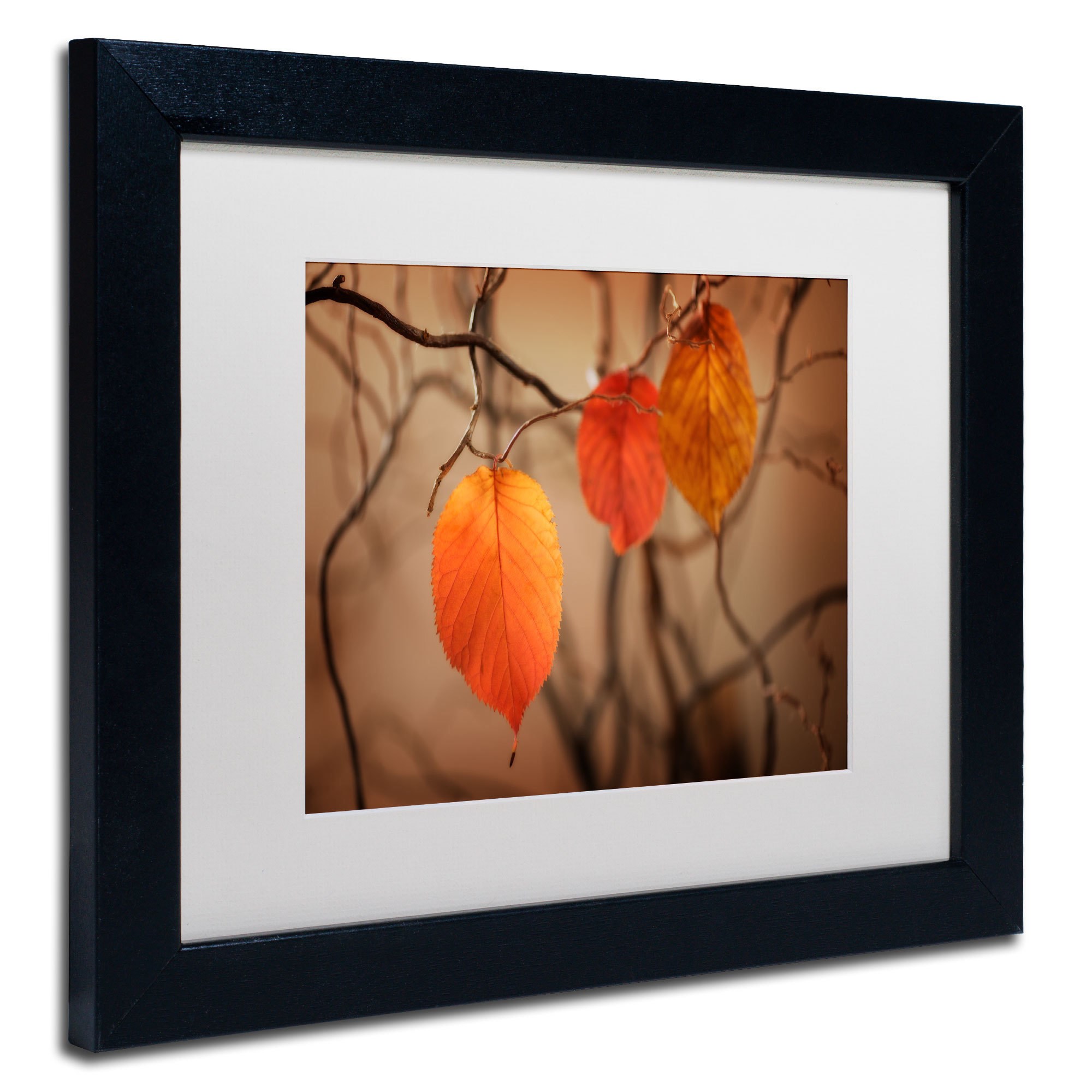 Trademark Fine Art "Leaves after Leaves" Canvas Art by Philippe Sainte-Laudy, White Matte, Black Frame