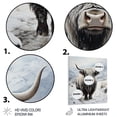 thumbnail image 3 of Designart "Portrait of Grey and White Yaks II" Animals Metal Art Print, 3 of 5