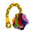 thumbnail image 1 of Snuffle For Slow Feeder For Mental Stimulation Enrichment Training Chewing Teething Foraging Sniffing Dog Small Bulk Pet Training Clicker Stick Tug A War Rope for Dogs Puppy Pacifier Clip Rope for, 1 of 4