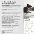 thumbnail image 5 of LABRADOR RETRIEVERS THE BEAUTY OF 2024 D, 5 of 8