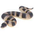 thumbnail image 2 of Figura Modelo De Serpiente, Modelo De Serpiente Amplia Gama De Aplicaciones Maravilloso Juguete Educativo Para Niños Para Jardines, 2 of 7