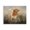 Spotted Longhorns Countryside, variant on Stupell Industries Southwestern Longhorn Cattle Grazing Scenic Countryside Landscape Black Framed Giclee Art, 14 x 11, by Marcus Prime