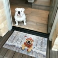 thumbnail image 2 of Playful Chinese Shar-Pei Welcomes Winter Snowy Day with Cardinal Bird Doormat Dog Lover Indoor Outdoor Welcome Mat - 2017, 2 of 5