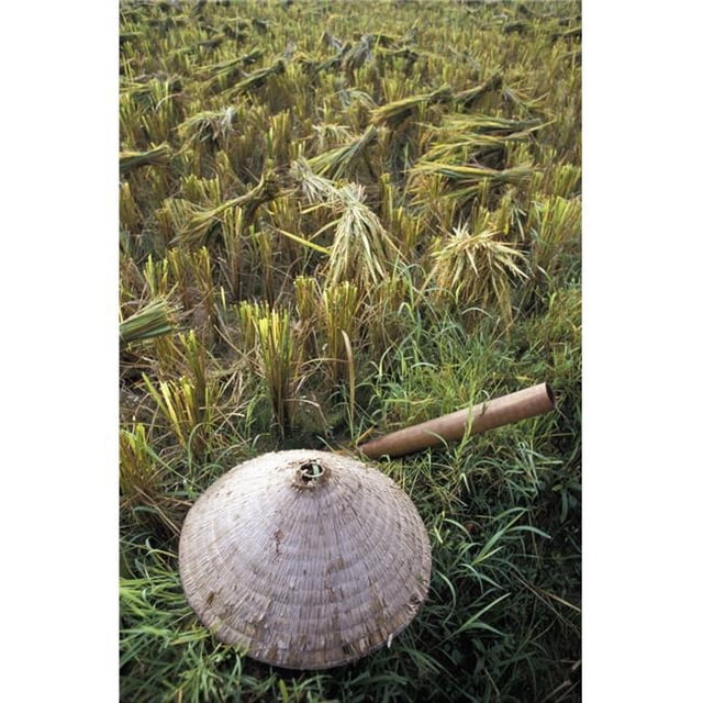 Posterazzi DPI1892723LARGE Vietnamese Conical Hat & Rice Cutting Tool In Field Poster Print, 24 x 38 - Large
