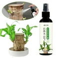 thumbnail image 4 of Special nutrient solution for Brazilian wood Q9R1 U3W9 O2E3 V9V2 Y4F6 S6T2, 4 of 8