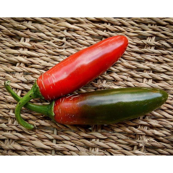 Sport Pepper Premium Seeds Packet