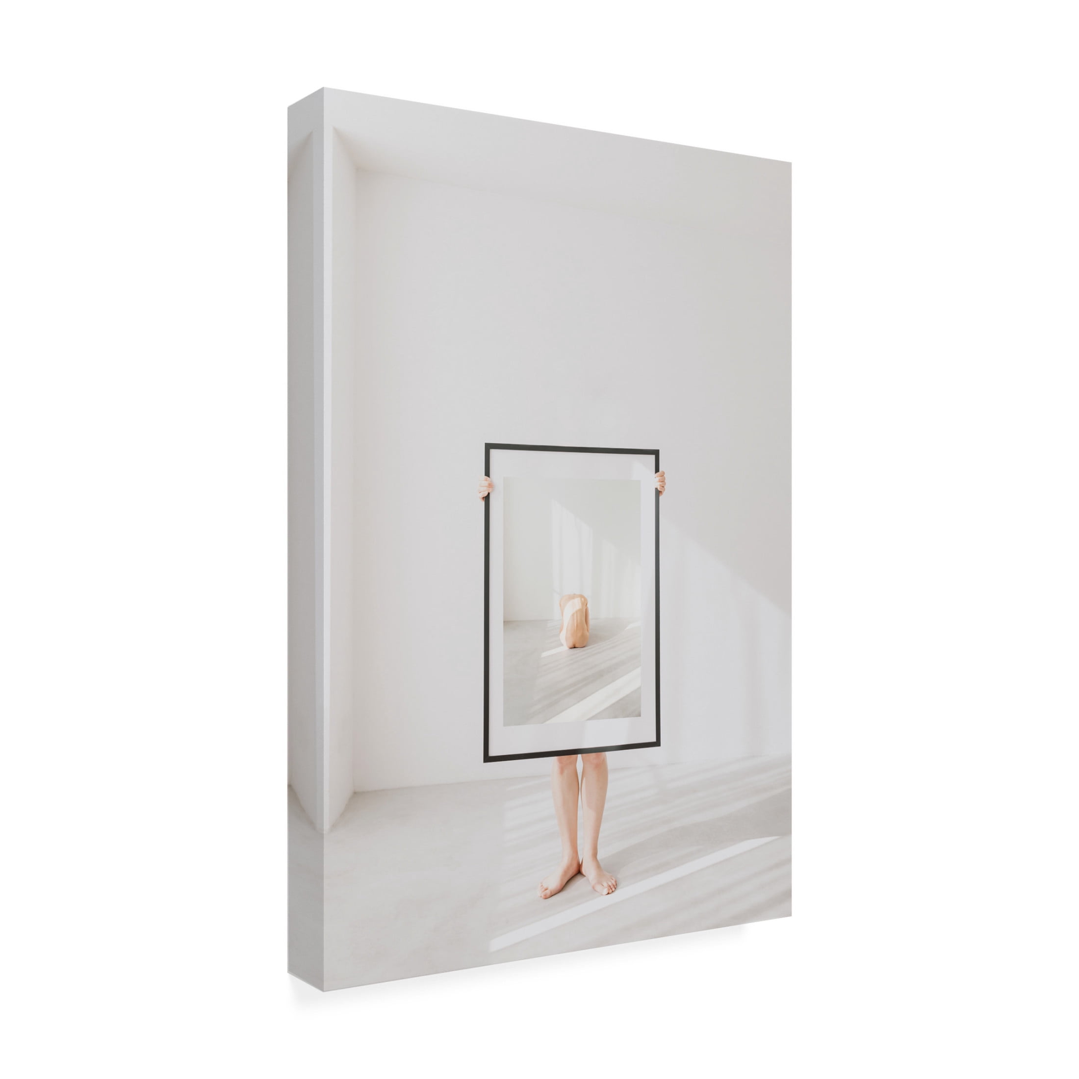 Trademark Fine Art Jun Ishibashi Untitled Canvas Wall Art