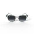 thumbnail image 6 of Ray-Ban RB4323 Sunglasses, 6 of 6
