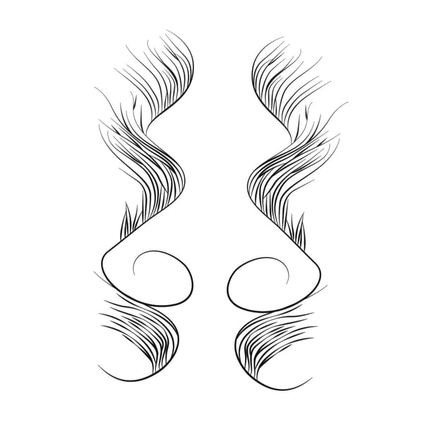 Borde del pelo del bebé pegatinas impermeable para las mujeres niñas C Zulema Etiquetas engomadas de la rayita