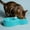 Blue, variant on Macaroon Pet Double Bowl | Small Oval Food and Water Dish | Non-Slip Plastic Dog Bowl | Blue Color | 27X6X6Cm Feeding Utensil for Dogs & Cats