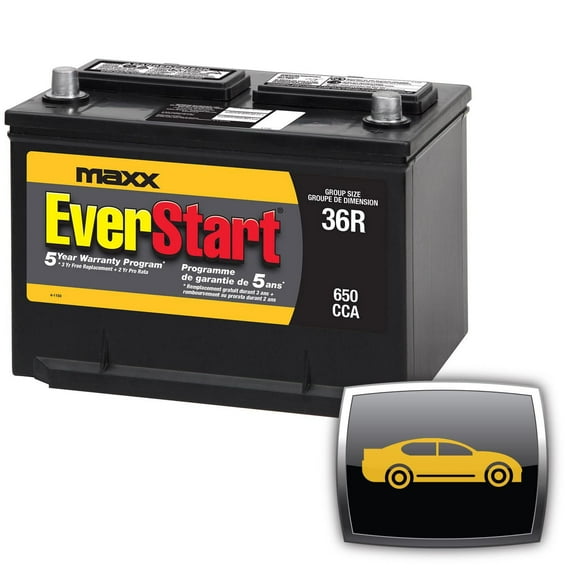 EverStart AUTO MAXX-36RN, 12 Volt, Car Battery, Group Size 36R, 650 CCA, EverStart, Car Battery