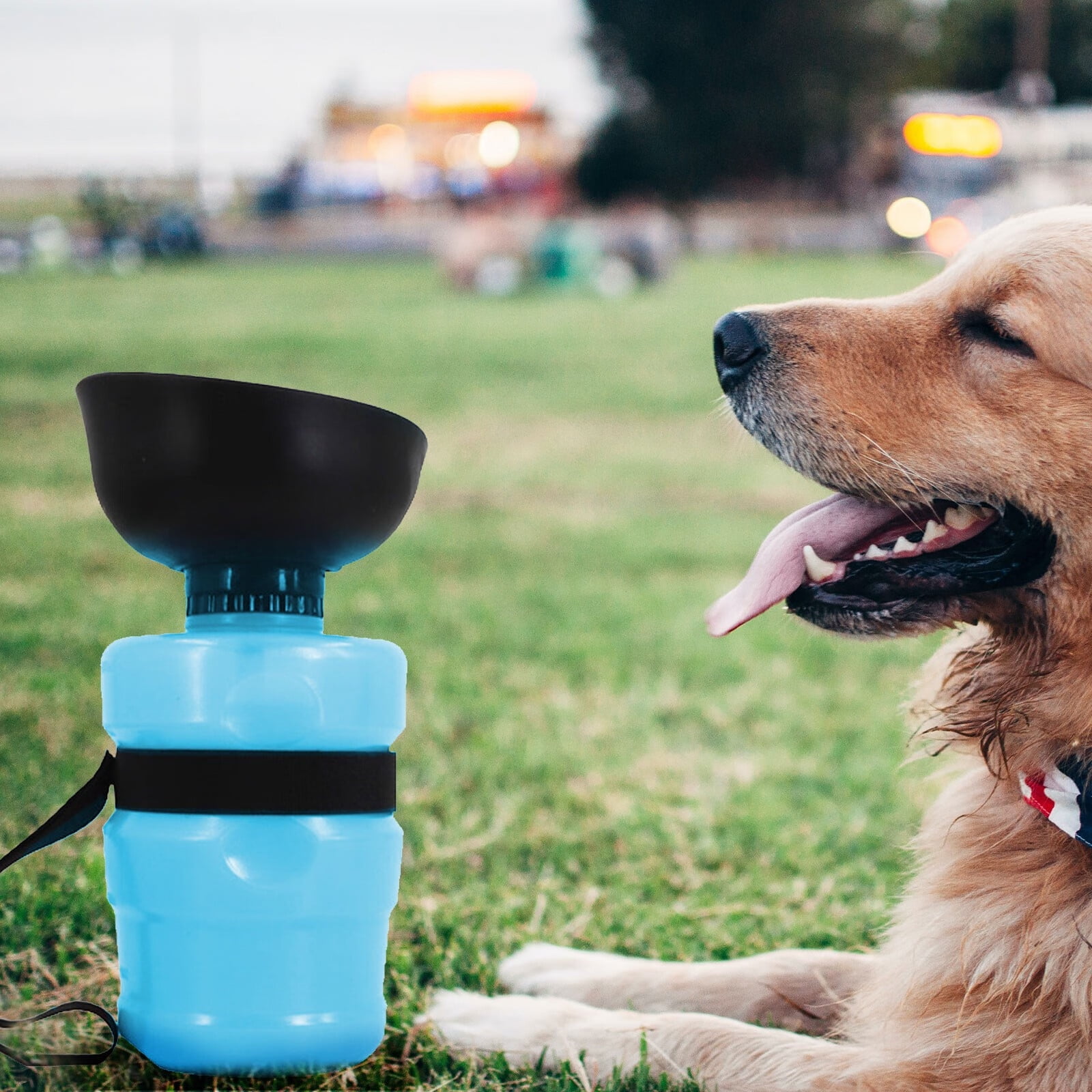 How Many Ml Of Water Should A Puppy Drink