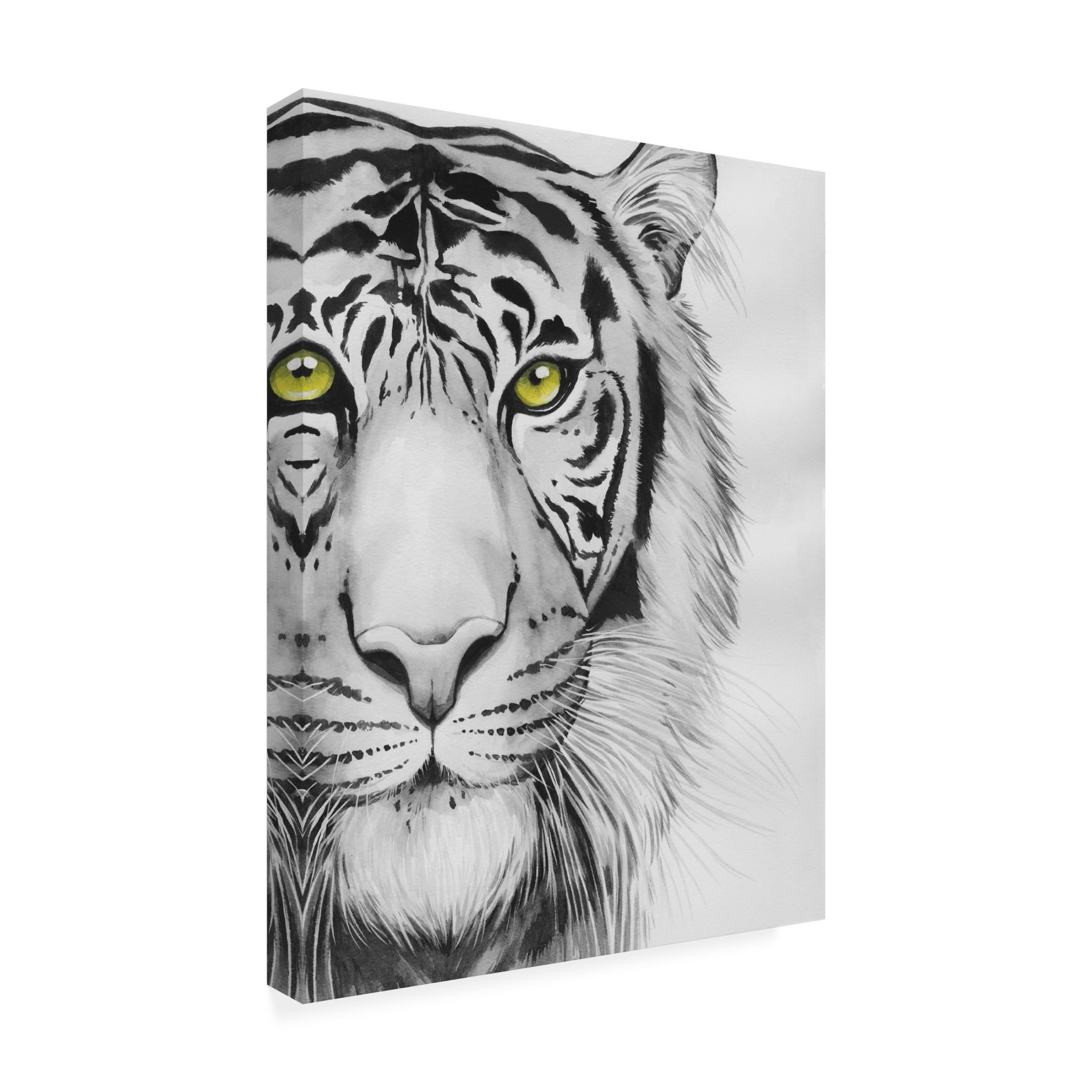 Trademark Fine Art Grace Popp  Snow Tigre I Canvas Wall Art