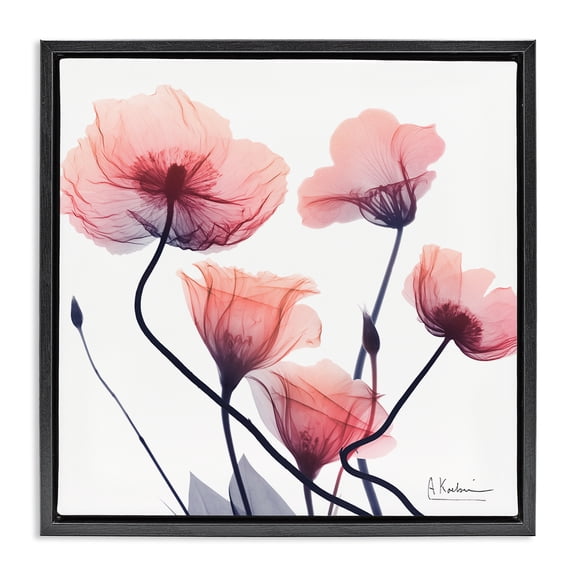 Stupell Industries Pink Chic Simple Flowers Floral Photography Black Floater Framed Canvas Art Print Wall Art, 18 x 18