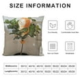 thumbnail image 5 of Soft Plush Whale Pillow Stuffed Whale Animal Plush Toy Whale Plushies Home Decor for Lover, 5 of 5