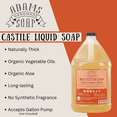 thumbnail image 4 of Cinnamon Spice Organic Liquid Castile Hand Soap 1 Gallon Refill Adams Handmade Soap, 4 of 4