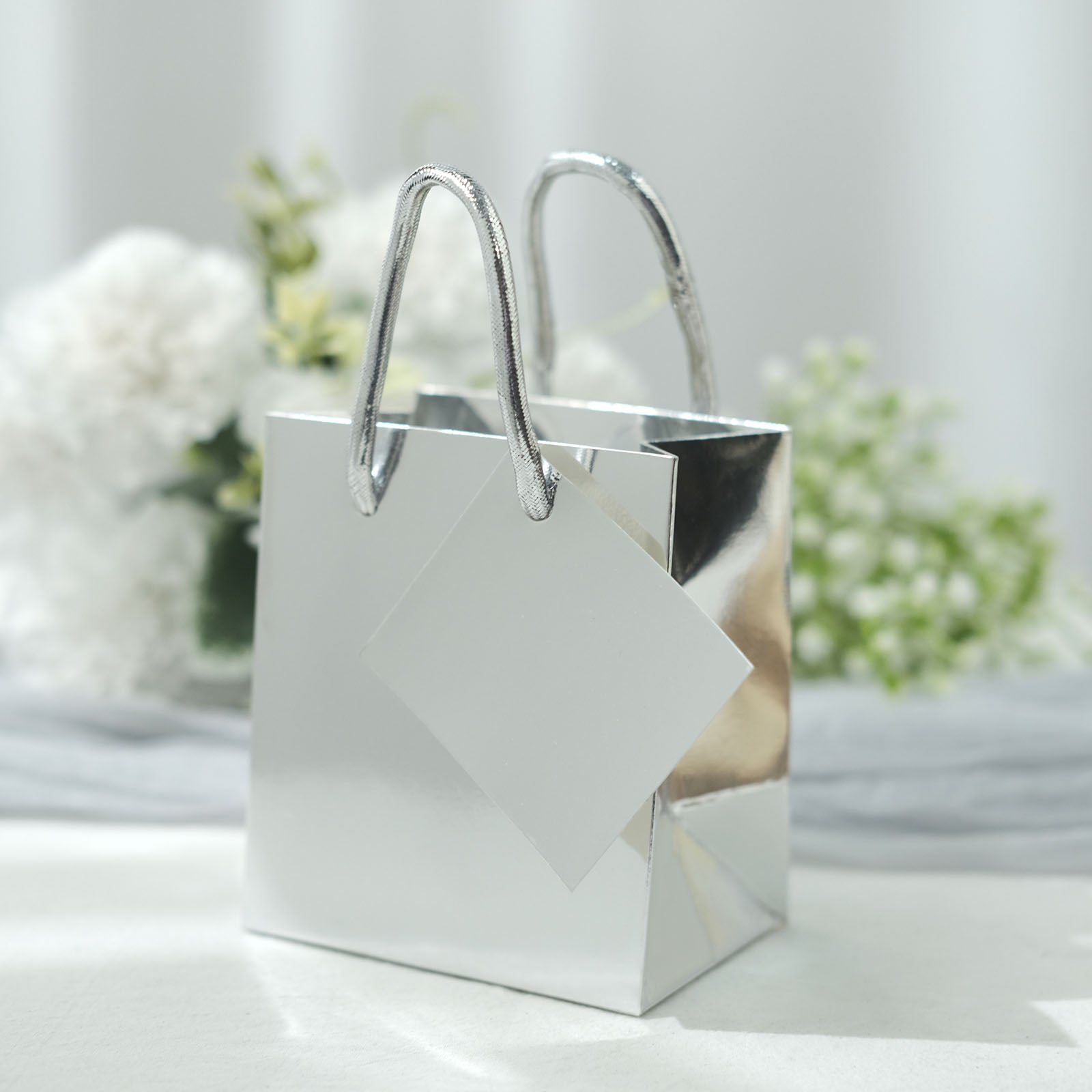 Product Detail - Gift Bag with Silver Tissue - 10x12
