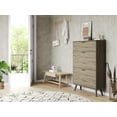 thumbnail image 6 of Tolead Wooden Shoe Cabinet with 3 Flip Drawers, Gray, 6 of 9