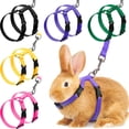thumbnail image 1 of Juego de arneses y correas para conejos, gatos, cachorros y hurones (5 unidades), 1 of 5